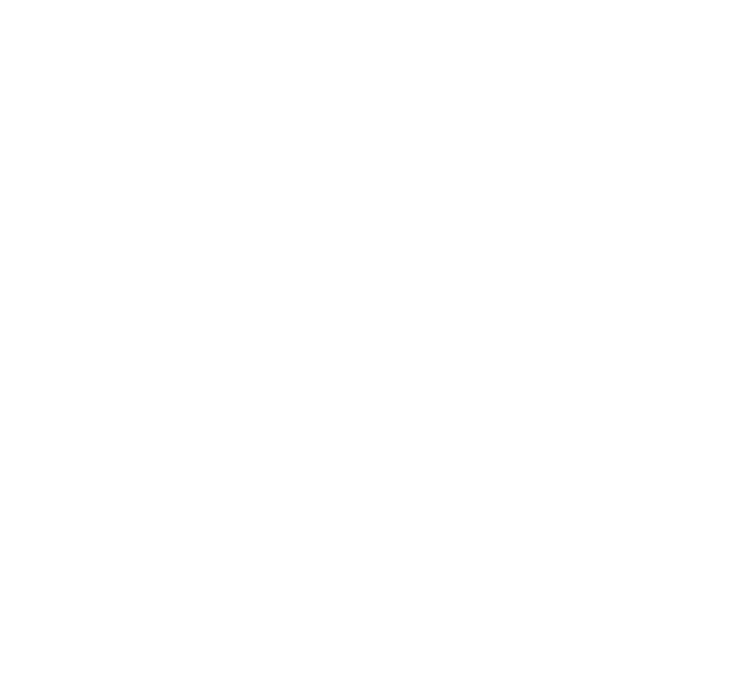 Providna ikonica logotipa
